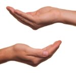 to offer, hand, handful, help out, hand over, to give, gift, donate, present, serve, to serve, gesture, presentation, offer, connection, open, empty, to show, wear, help, to open, precious, fragile, greedy, poverty, bide, shovel, charity, alms, donate, donate, serve, poverty, charity, charity, charity, charity, charity